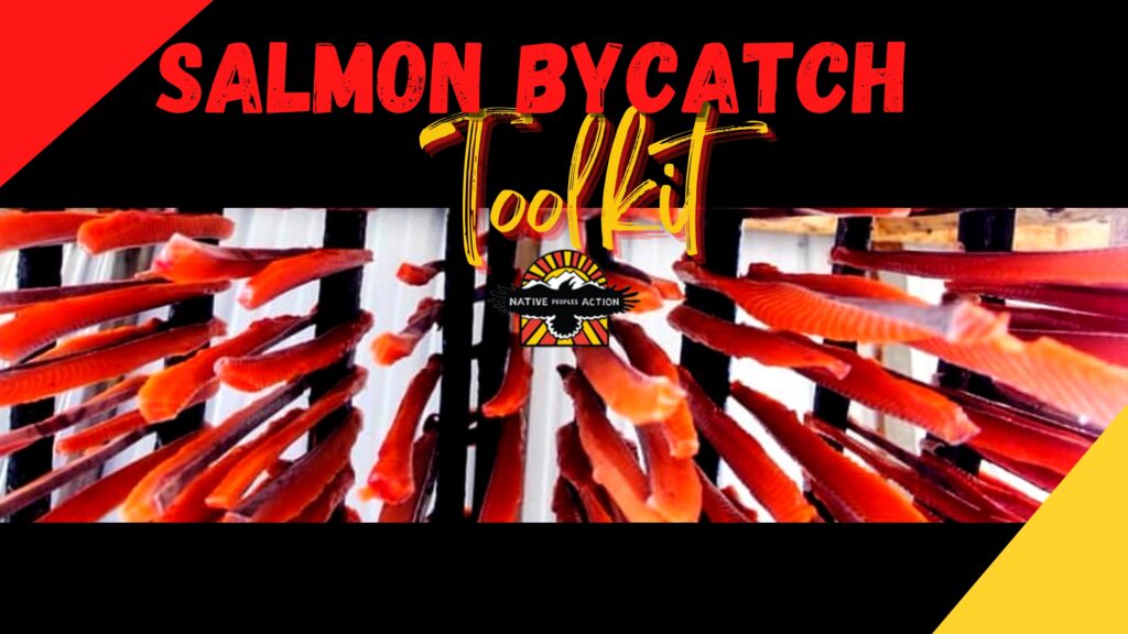 Salmon Bycatch Toolkit