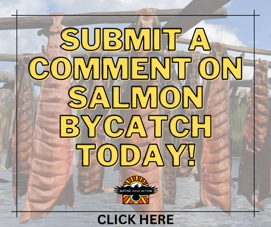 Submit Comment on Salmon Bycatch